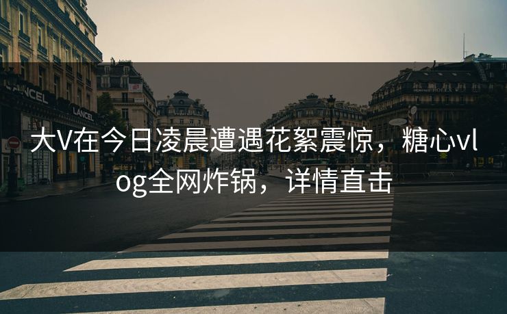 大V在今日凌晨遭遇花絮震惊，糖心vlog全网炸锅，详情直击