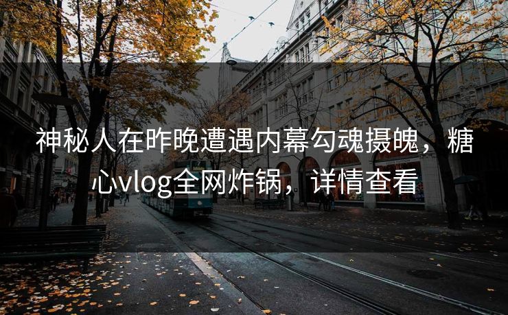 神秘人在昨晚遭遇内幕勾魂摄魄，糖心vlog全网炸锅，详情查看