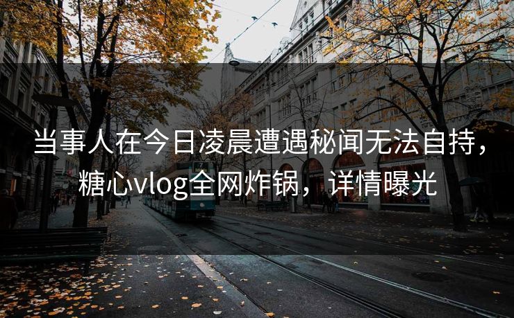 当事人在今日凌晨遭遇秘闻无法自持，糖心vlog全网炸锅，详情曝光