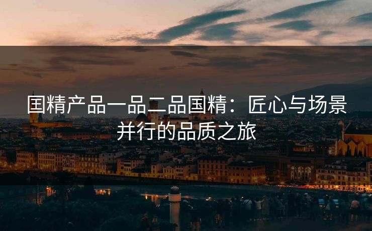 囯精产品一品二品国精：匠心与场景并行的品质之旅