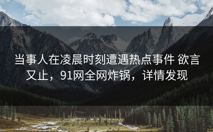 当事人在凌晨时刻遭遇热点事件 欲言又止，91网全网炸锅，详情发现